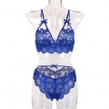 Sexy Blue Spaghetti Straps See-through Backless Lace Bra and Thong Lingerie Set N23161