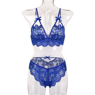 Sexy Blue Spaghetti Straps See-through Backless Lace Bra and Thong Lingerie Set N23161