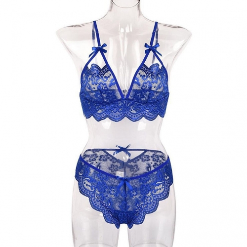 Sexy Blue Spaghetti Straps See-through Backless Lace Bra and Thong Lingerie Set N23161