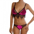Sexy Rose Sheer Floral Lace Thin Shoulder Strap Bra and Panty Suit N19301