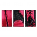Fashion Satin Red Shapewear Corset N11306