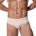 Men's Sexy Complexion Briefs Elastic Underpants Cozy Male Undergarments PT23139