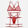 Sexy Red See-through Mesh Spaghetti Straps Bra and Thong Lingerie with Garters N23125