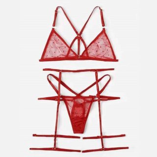 Sexy Red See-through Mesh Spaghetti Straps Bra and Thong Lingerie with Garters N23125