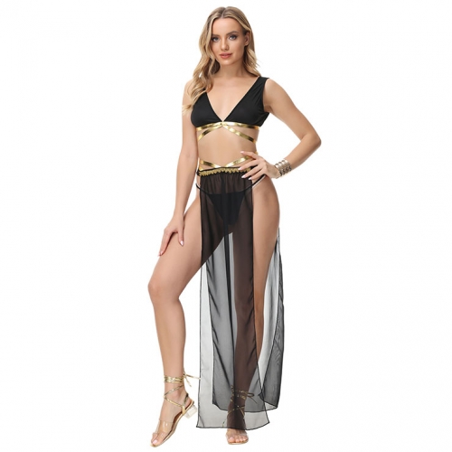 Sexy Belly Dance Bra and Long Skirt Adult Bollywood Performance Dancing Carnival Costume N21632