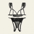 Sexy Floral Lace Spaghetti Straps Lingerie Cupless Bra And Crotchless Panty Set N20711