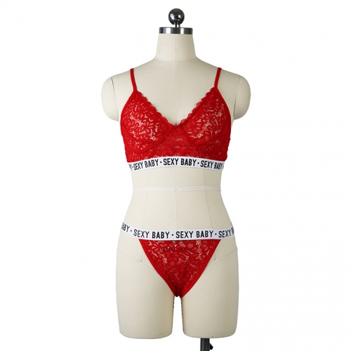 Sexy Sheer Lace Floral Thin Shoulder Strap Stretch Letters Underwear Two Pieces Set N19356