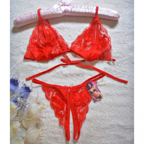 Charming Red Floral Lace Lingerie Hollow Out Bra Panty Set N17620