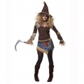 Women's Creepy Scarecrow Adult Costume N14663