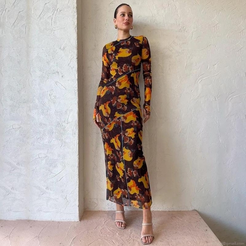 Women Sexy Mesh Sheer Maxi Dress Long Sleeve Abstract Floral Printed Side Split Party Dress With Contrast Blue Overlock Stitching Slim Fit Clubwear
