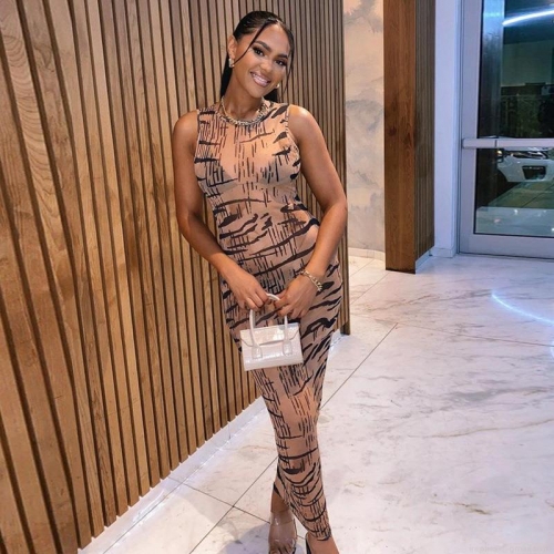 Women's Sexy Sleeveless Tiger Print Mesh Bodycon Midi Dress Elegant Slim Fit Round Neck Tank Long Dress Party Streetwear