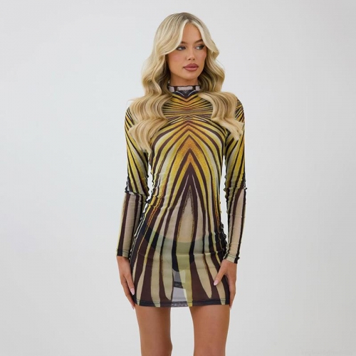 Women's Mesh See-Through Bodycon Mini Dress Vintage Abstract Print Long Sleeve Round Neck Slim Fit Sheer Party Clubwear Sexy Short Dress