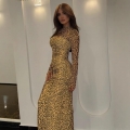 Women's Sexy Leopard Print Maxi Dress Long Sleeve High Neck Bodycon Slim Fit Mesh Polyester Spandex Streetwear Clubwear Party Long Dress