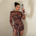Women's Sexy Tiger Leopard Print Bodycon Mini Dress Long Sleeve Crew Neck Ruched Tie Up Slim Fit Polyester Spandex Short Dress For Party Clubwear