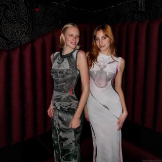 Women's Sexy Sleeveless Maxi Dress 3D Funny Cat Animal Print Trompe L'oeil Corset Graphic Slim Fit Bodycon Long Pencil Dress Polyester Spandex Chic Streetwear Party Wear