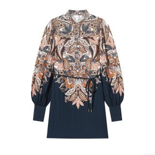 Women's Bohemian Paisley Print Midi Dress Long Lantern Sleeve Stand Collar Drawstring Waist Retro Casual Polyester Linen Blend Dress