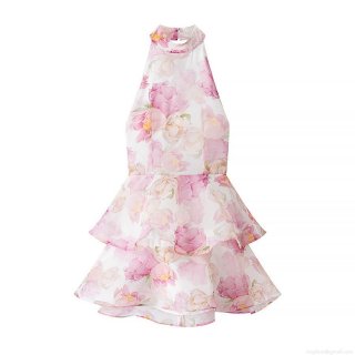 Women's Sexy Halter Neck Floral Print Ruffle Mini Dress Backless Sleeveless Polyester Spandex Summer Party Dress For Women