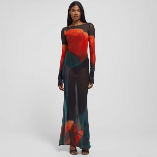 Sexy Sheer Mesh Maxi Dress For Women Floral Print Long Sleeve See-Through Bodycon Evening Party Clubwear Club Dress