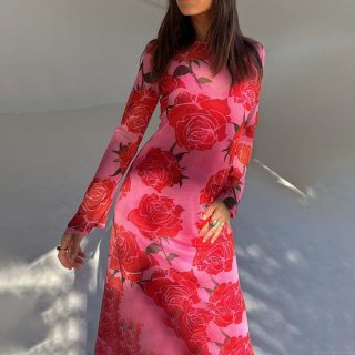 Women's Sexy See-Through Mesh Floral Print Maxi Dress Long Sleeve Round Neck High Elastic Bodycon Long Skirt For Party Vacation Streetwear
