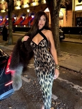 Women Sexy Leopard Print Halter Neck Midi Dress Sleeveless Backless Bodycon Split Hem Party Club Dress Polyester Spandex Summer Outfit