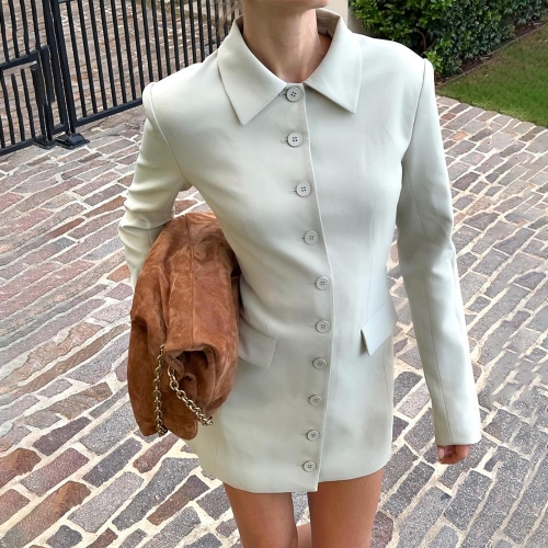 Women's Slim Fit Blazer Dress Lapel Long Sleeve Single Breasted Mini Shirt Dress Fashion Streetwear Lady Office Party Dress In Polyester Double-Sided Velvet