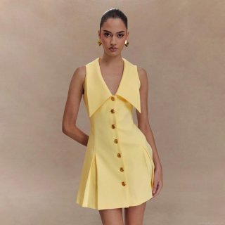 Women's Sleeveless Lapel A-Line Mini Dress Elegant High Waisted Contrast Color Single Breasted Button Pleated Short Dress Summer Fashion Streetwear