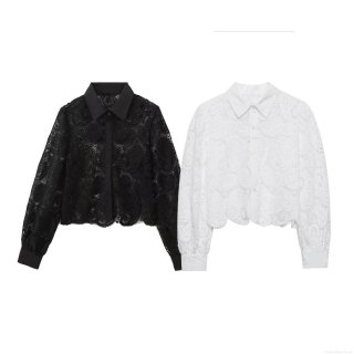 Women Lace Crochet Shirt Hollow Out Long Sleeve Turn-down Collar Slim Fit Short Jacket Polyester Blouse For Streetwear Party Casual Daily Solid Color Elegant Top