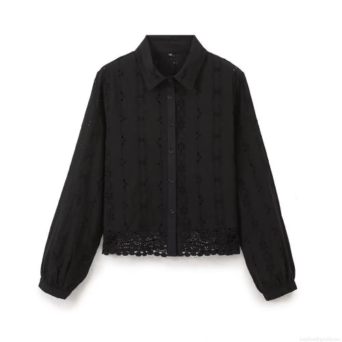 Women's Summer Casual Long Sleeve Eyelet Embroidery Blouse Shirt With Lace Trim Single Breasted Lapel Cotton Blend Streetwear Tops