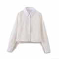 Women's Elegant White Eyelet Embroidery Long Sleeve Shirt Cotton Blend Turn-down Collar Button Up Blouse For Daily Casual Sweet Style