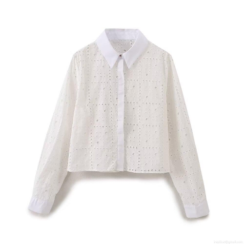 Women's Elegant White Eyelet Embroidery Long Sleeve Shirt Cotton Blend Turn-down Collar Button Up Blouse For Daily Casual Sweet Style