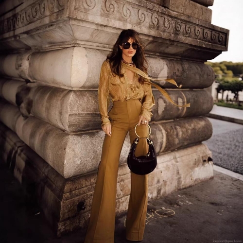 Women's Elegant Long Sleeve Bow Tie Neck Blouse Metallic Stripe Sheer Chiffon Shirt Fashion Office Lady Daily Top