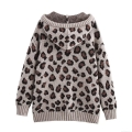 Women's Leopard Print Hooded Knit Sweater Jacquard Loose Long Sleeve Pullover Hoodie with Kangaroo Pocket Nylon Viscose Blend Knitwear for Winter Streetwear