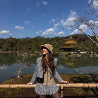 Women Houndstooth Short Blazer Jacket Polyester Blend Lapel Single Breasted Long Sleeve Casual Elegant Commuter Outwear Office Ladies Fashion