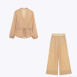 Women's 2025 Autumn Pleated Plisse Two Piece Set Translucent V Neck Long Sleeve Shirt And Wide Leg Pants Minimalist Street Style Apricot Outfits