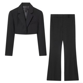 Women's 2 Piece Elegant Suit Set Solid Black Cropped Single Breasted Blazer Jacket and High Waist Flare Pants Set Long Sleeve Office Lady Workwear Outfits