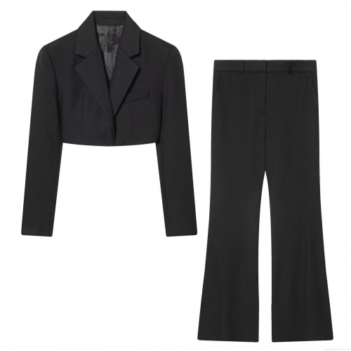 Women's 2 Piece Elegant Suit Set Solid Black Cropped Single Breasted Blazer Jacket and High Waist Flare Pants Set Long Sleeve Office Lady Workwear Outfits