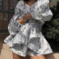 Women's Two Piece Outfits Floral Print V-Neck Lantern Sleeve Tie Waist Top And Shorts Set Summer Casual Vacation Beachwear Clothing
