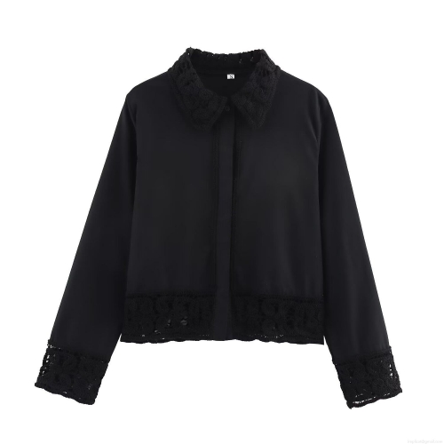 Women's Elegant Crochet Lace Trim Shirt And Shorts Individual Pieces Two Piece Set Elegant Long Sleeve Blouse High Waist Casual Shorts For Summer Streetwear Outfits