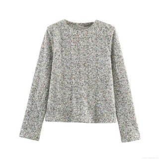 Women Sequin Sparkling Two Piece Set Long Sleeve Round Neck Top And High Waist Mini Skirt Polyester Streetwear Party Clubwear Outfits