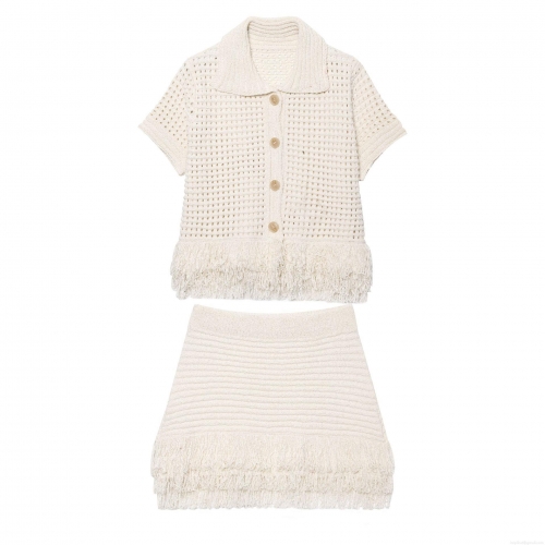 Women's Crochet Knit Two Piece Skirt Set Cotton Blend Hollow Out Tassel Hem Short Sleeve Polo Top And Mini Skirt Casual Vacation Chic Summer Outfit