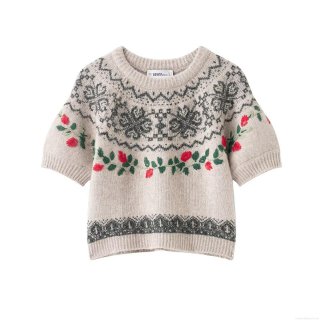 Women's 100% Polyester Short Sleeve Knit Sweater Round Neck Pullover Retro Floral Embroidery Fair Isle Geometric Pattern Beige Knitwear Top