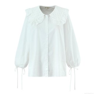 Women's Long Sleeve Shirt Polyester Cotton Blend Lace Hollow Out Embroidery Peter Pan Collar Lantern Sleeve Tie Cuff Button Down Casual Vintage European Style Tops