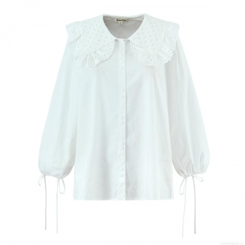 Women's Long Sleeve Shirt Polyester Cotton Blend Lace Hollow Out Embroidery Peter Pan Collar Lantern Sleeve Tie Cuff Button Down Casual Vintage European Style Tops