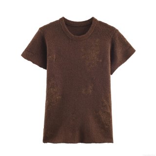 Women's Fashion Coffee Brown Short Sleeve Knit Sweater With Floral Embroidery Round Neck Pullover Polyester Top For Autumn Casual Daily Wear