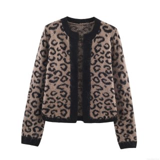 Women's Casual Leopard Print Knit Cardigan V-Neck Long Sleeve Sweater Coat With Pockets Loose Fit Streetwear Polyester Knitted Outerwear