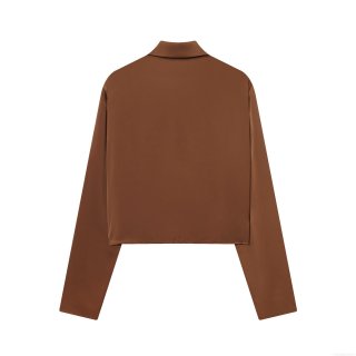 Women's Elegant Satin Polyester Cowl Neck Shirt Draped Long Sleeve Blouse Solid Color Silky Texture Pullover Tops For Daily Commute Office Fashion