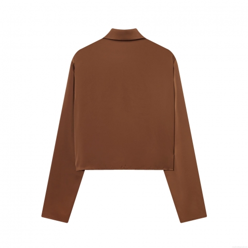 Women's Elegant Satin Polyester Cowl Neck Shirt Draped Long Sleeve Blouse Solid Color Silky Texture Pullover Tops For Daily Commute Office Fashion