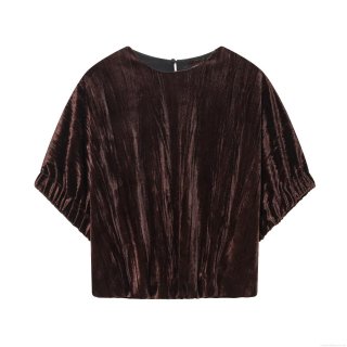 Women's Casual Velvet Short Sleeve T-Shirt Fashion Balloon Fit Pleated Round Neck Pullover Top Coffee Solid Color Soft Velvet Polyester Blend Tee For Winter Autumn