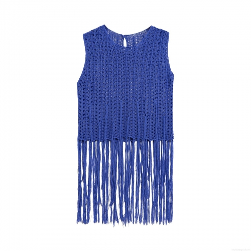 Women's Royal Blue Crochet Knit Vest Top With Long Fringe Sleeveless Round Neck Pullover Cropped Tank Top For Summer Vacation Party Chic Tops