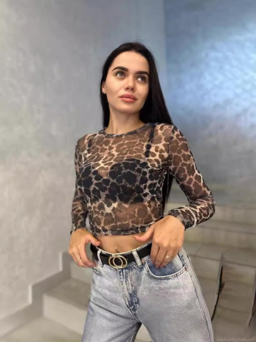Sexy Women Leopard Print Mesh Long Sleeve Top Sheer See Through Slim Fit Crop Top Y2K Streetwear Party Clubwear Blouse
